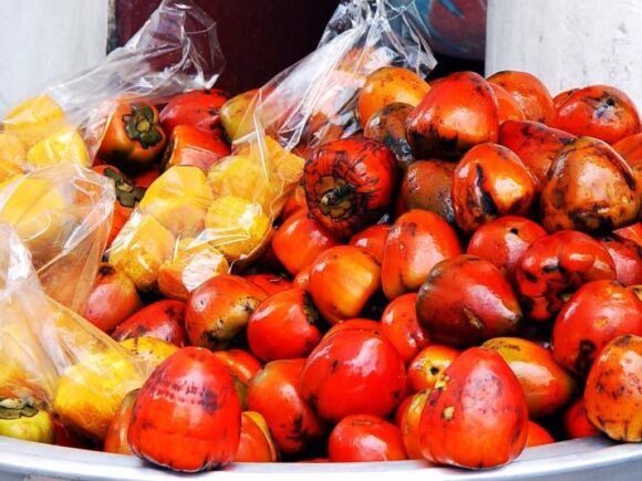 Descubre los Beneficios y Formas de Preparación del Chontaduro, según El Tiempo